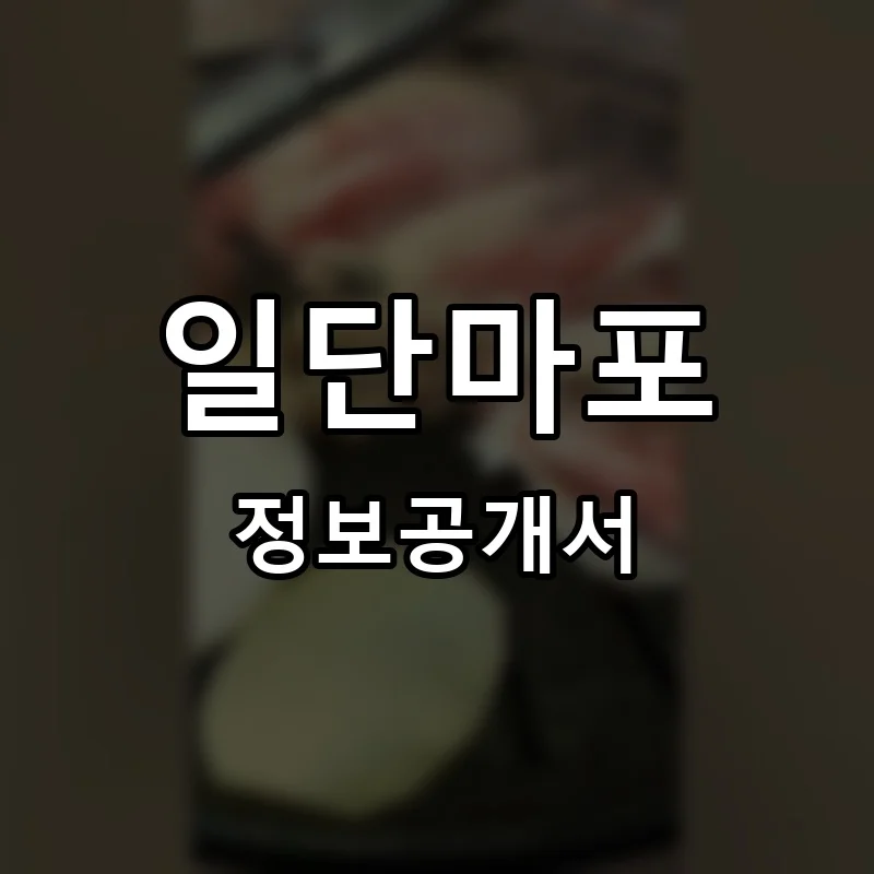 일단마포 프랜차이즈 창업 비용 정보공개서 요약