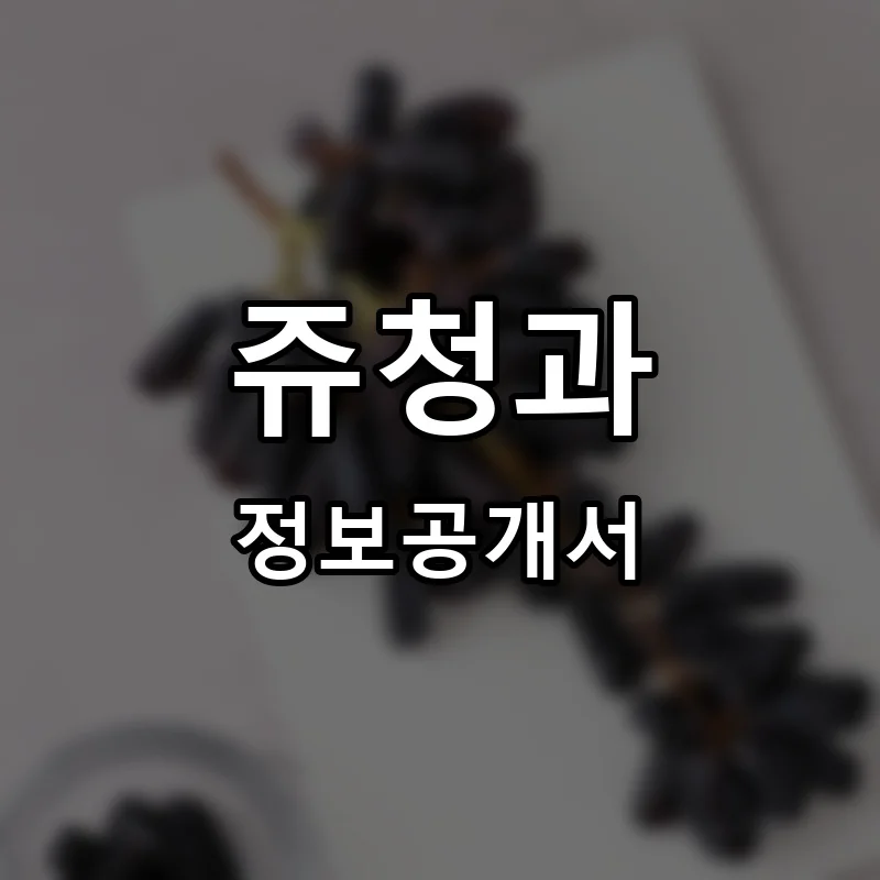 쥬청과 프랜차이즈 창업 비용 정보공개서 요약