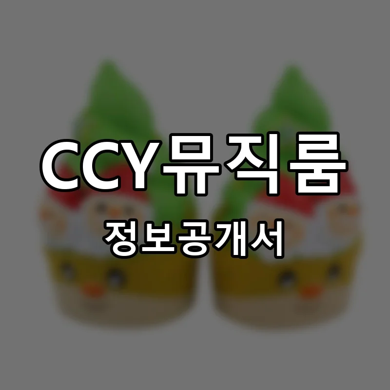 CCY뮤직룸 창업 프랜차이즈 정보공개서 요약 2025.10.14