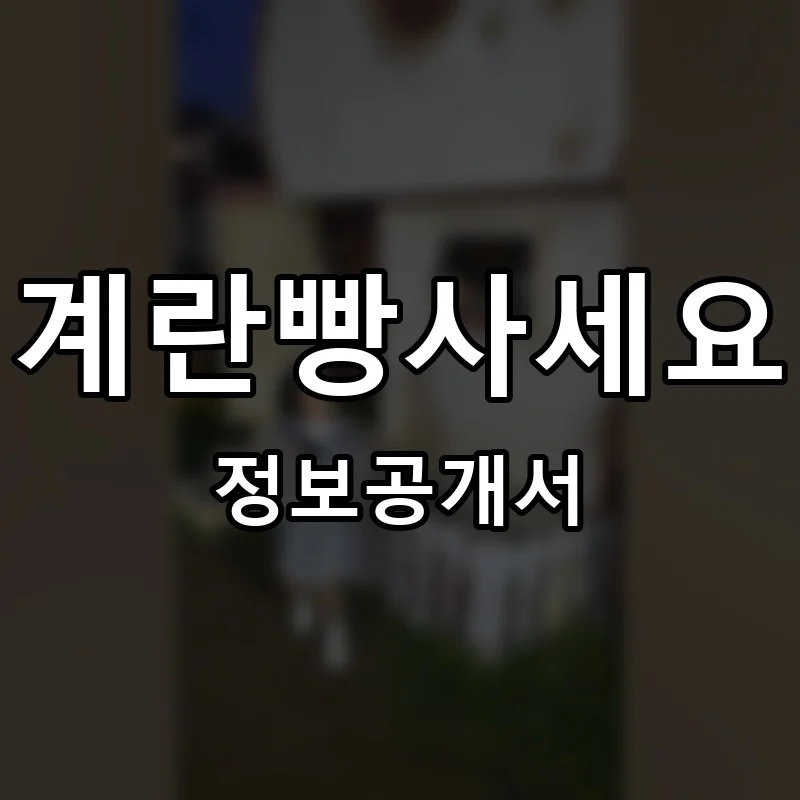 계란빵사세요 프랜차이즈 창업 비용 정보공개서 요약