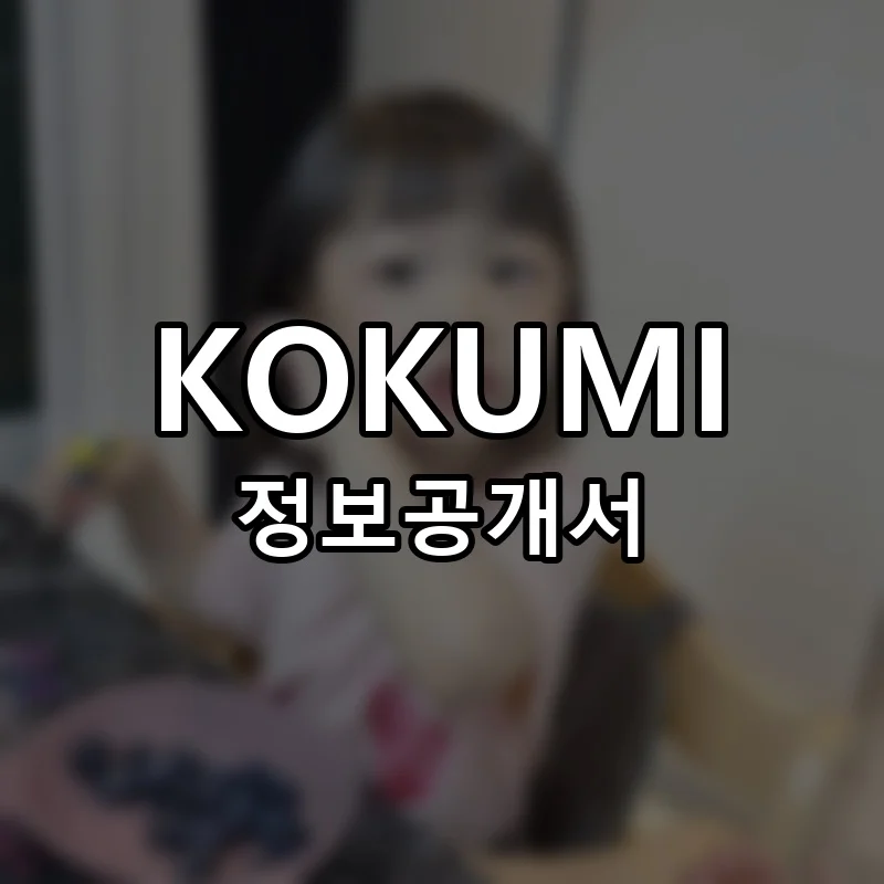 KOKUMI 창업 프랜차이즈 정보공개서 요약 2025.10.17