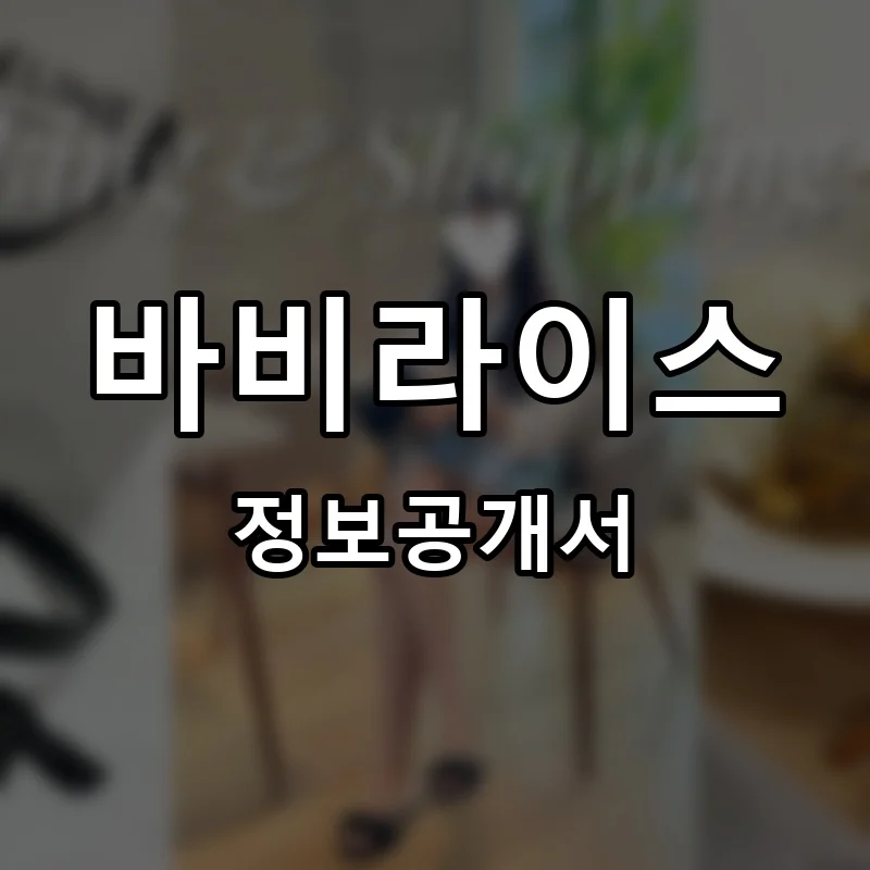 바비라이스 프랜차이즈 창업 비용 정보공개서 요약