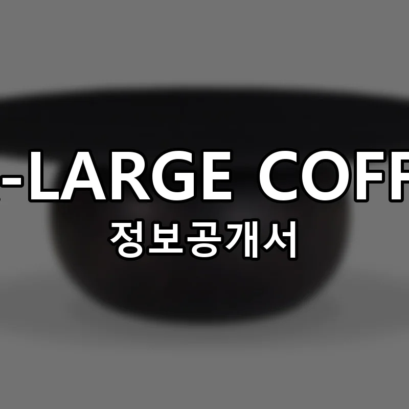 3X-LARGE COFFEE 창업 프랜차이즈 정보공개서 요약 2025.10.20