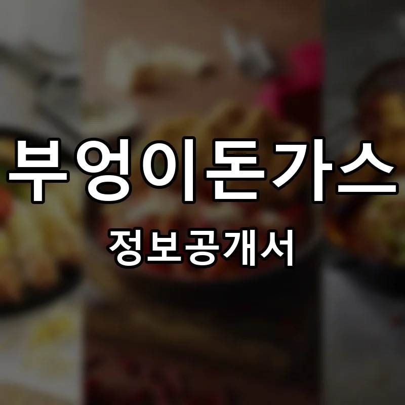 부엉이돈가스 프랜차이즈 창업 비용 정보공개서 요약