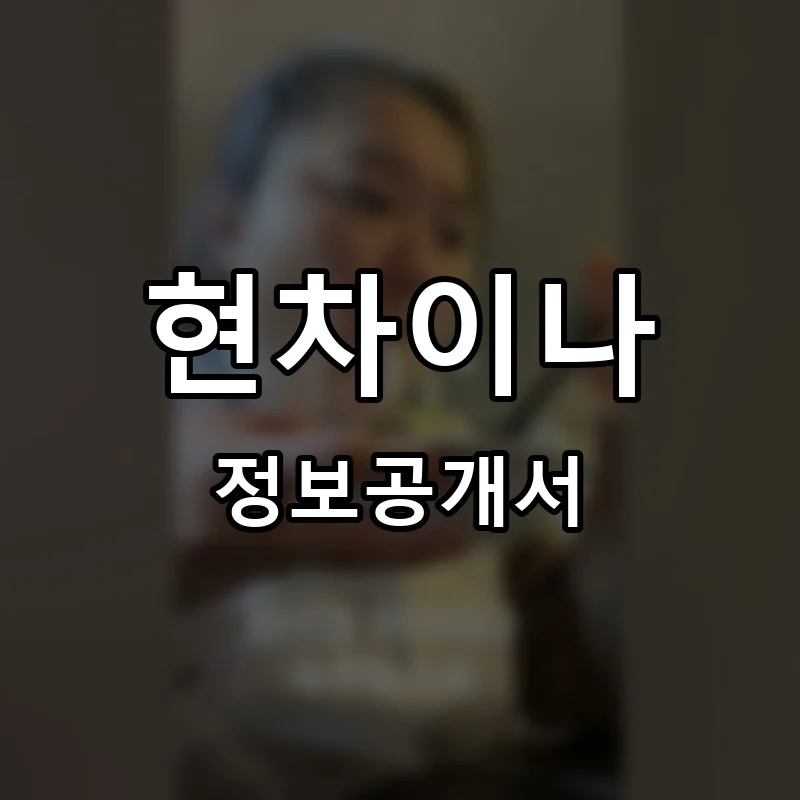 현차이나 프랜차이즈 창업 비용 정보공개서 요약