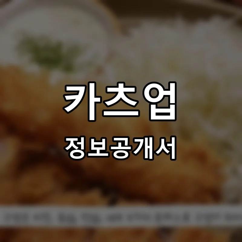 카츠업 프랜차이즈 창업 비용 정보공개서 요약