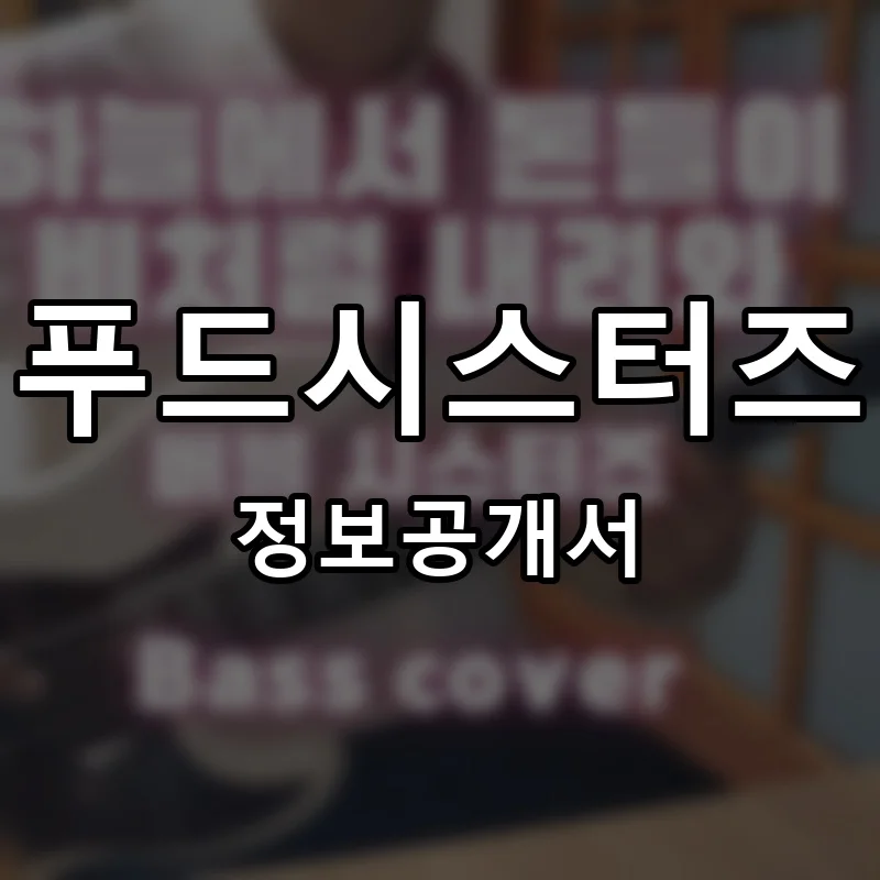푸드시스터즈 프랜차이즈 정보공개서