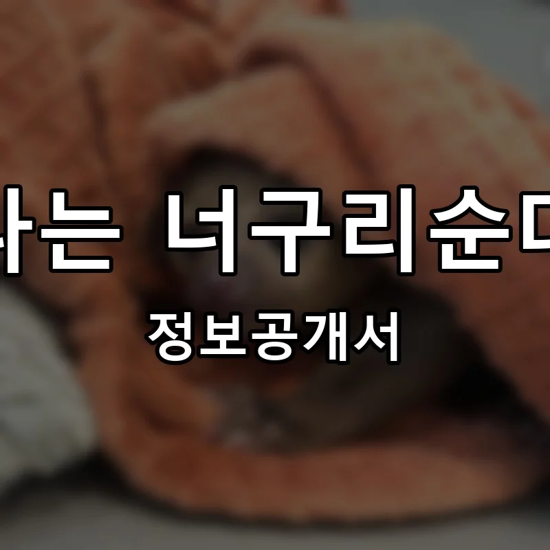 나는 너구리순대 프랜차이즈 창업 비용 정보공개서 요약