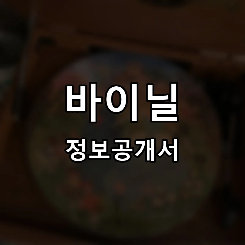 바이닐 프랜차이즈 창업 비용 정보공개서 요약