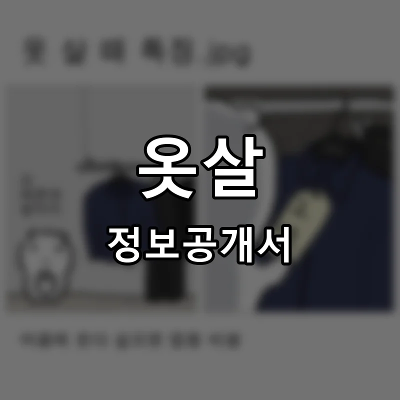 옷살 프랜차이즈 창업 비용 정보공개서 요약