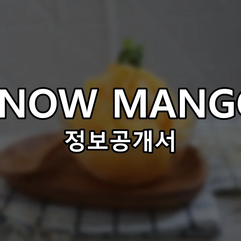 SNOW MANGO 창업 프랜차이즈 정보공개서 요약 2025.10.28