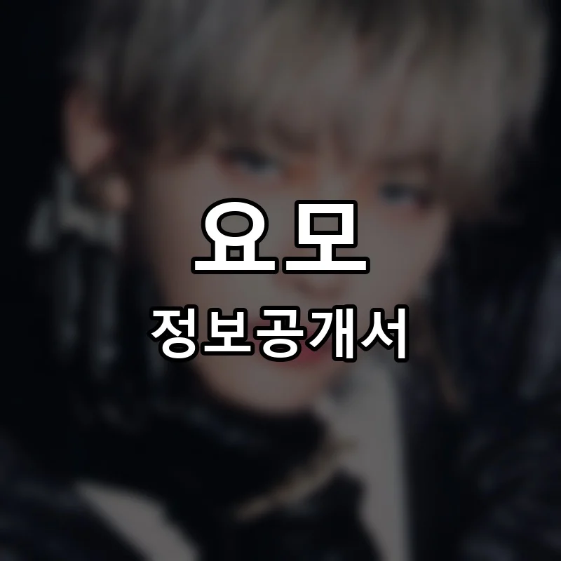 요모 프랜차이즈 창업 비용 정보공개서 요약