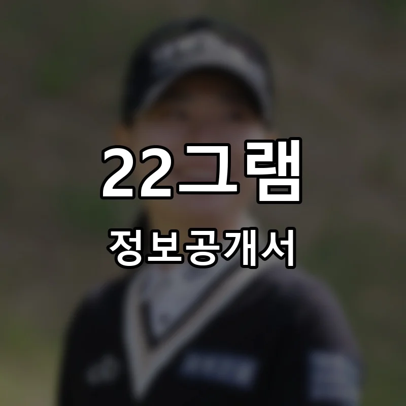 22그램 창업 프랜차이즈 정보공개서 요약 2025.10.29