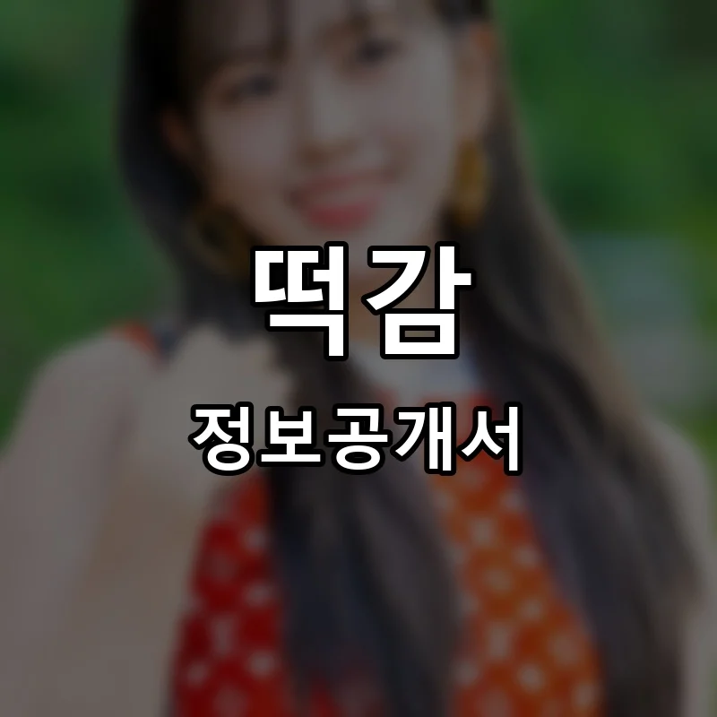 떡감 프랜차이즈 창업 비용 정보공개서 요약