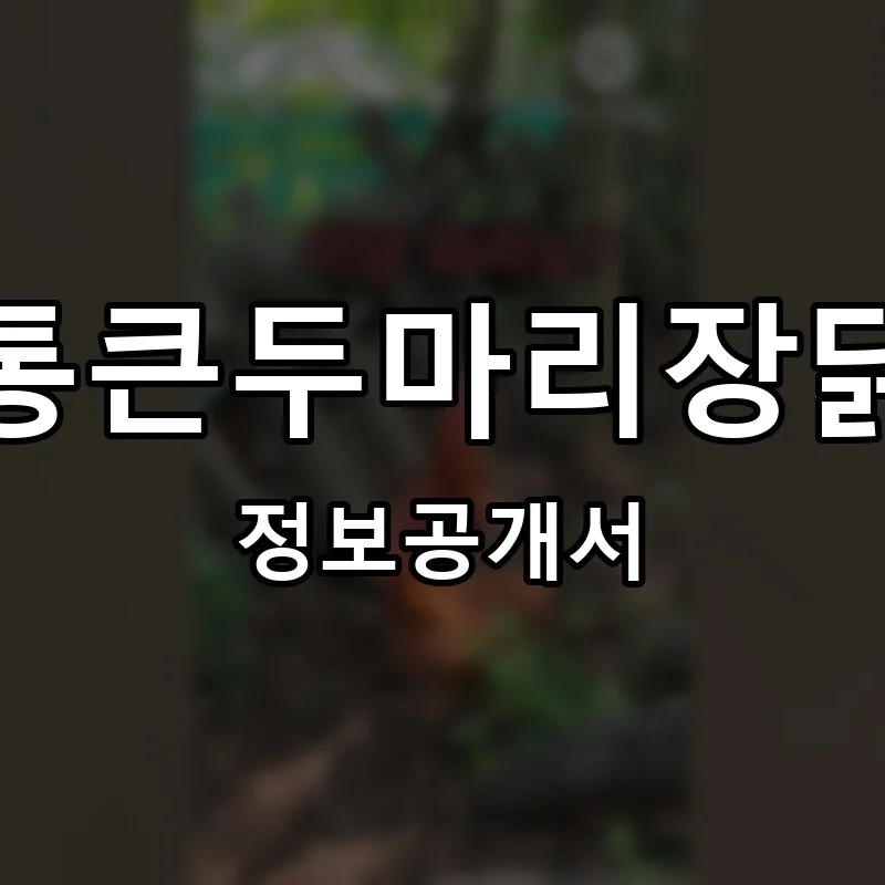 통큰두마리장닭 프랜차이즈 정보공개서