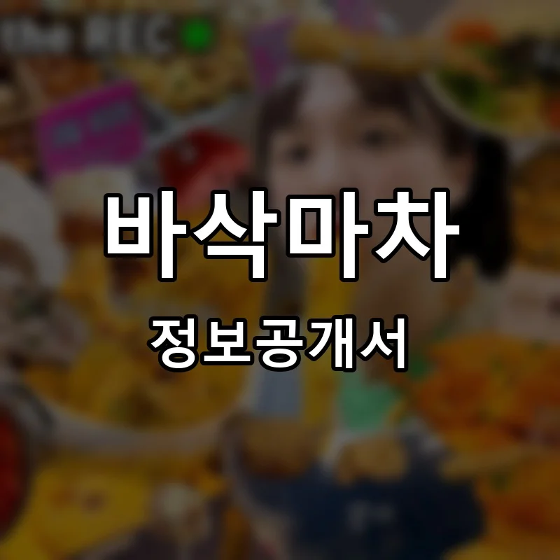바삭마차 프랜차이즈 창업 비용 정보공개서 요약