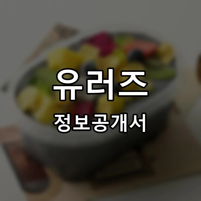 유러즈 프랜차이즈 창업 비용 정보공개서 요약