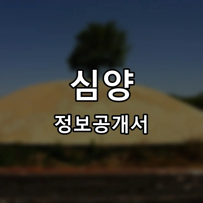 심양 프랜차이즈 정보공개서