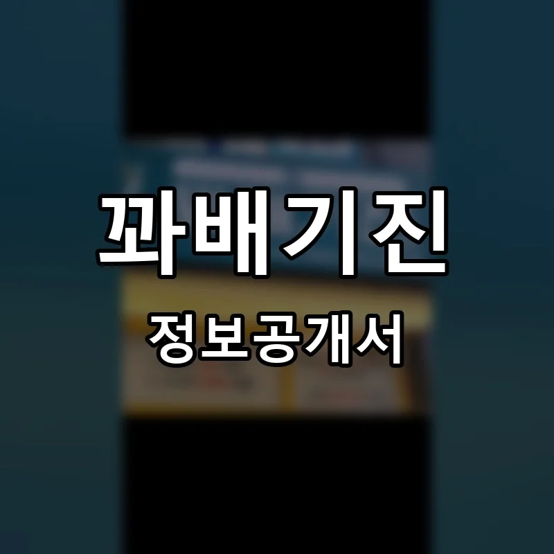 꽈배기진 프랜차이즈 창업 비용 정보공개서 요약