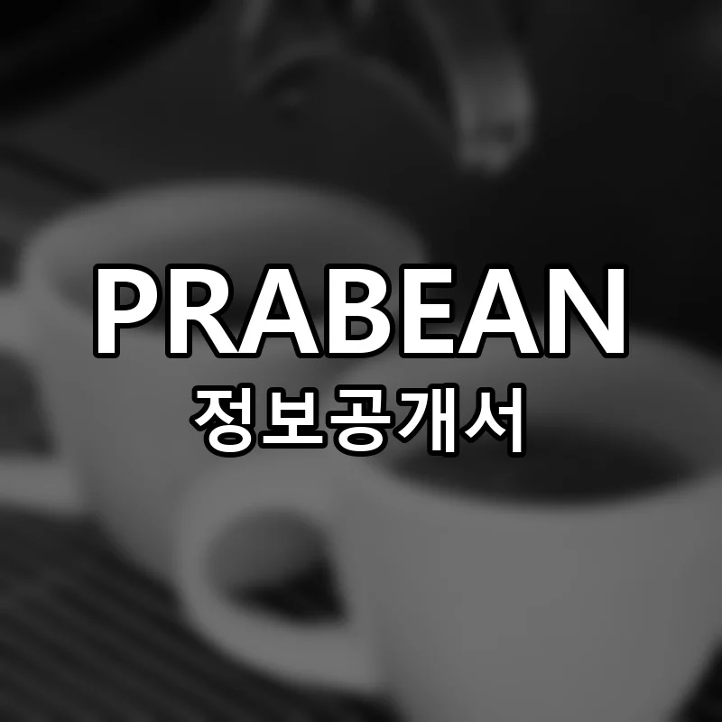 프라빈 창업 PRABEAN 프랜차이즈 정보공개서 요약 2026.03.17