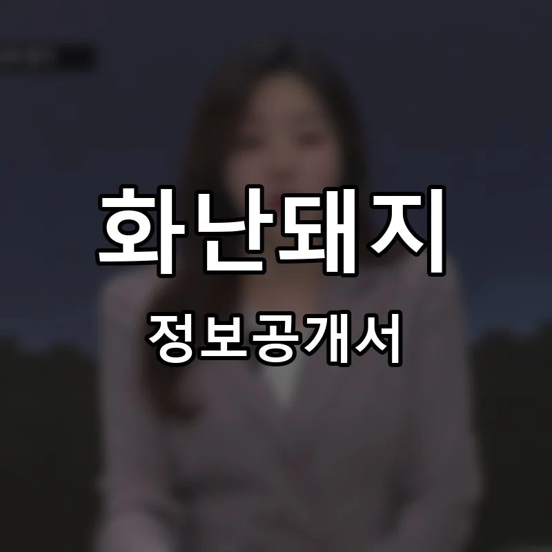 화난돼지 프랜차이즈 정보공개서