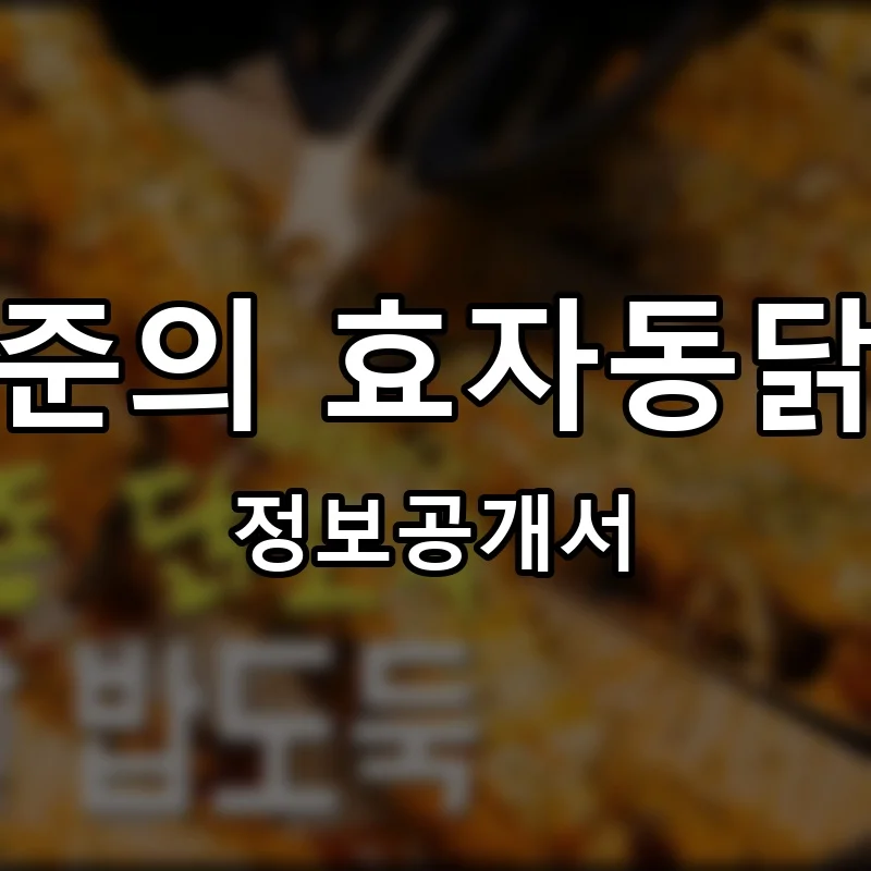 하태준의 효자동닭꼬치 프랜차이즈 창업 비용 정보공개서 요약