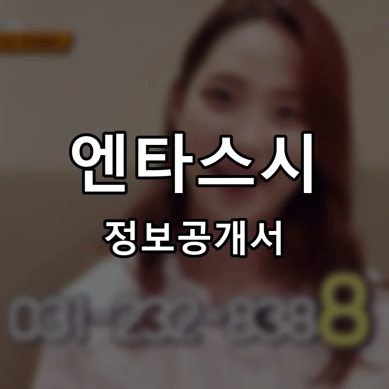 엔타스시 프랜차이즈 정보공개서 요약