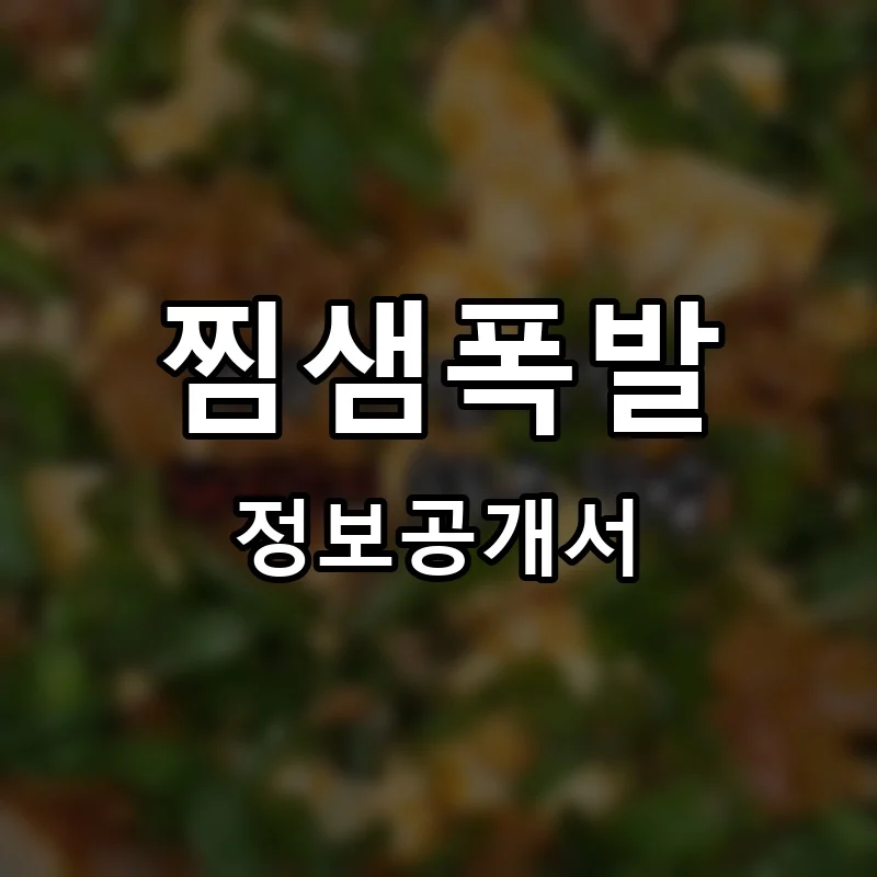 찜샘폭발 프랜차이즈 정보공개서