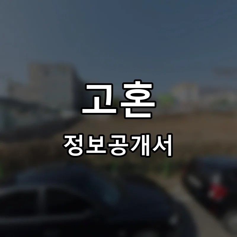 고혼 프랜차이즈 창업 비용 정보공개서 요약