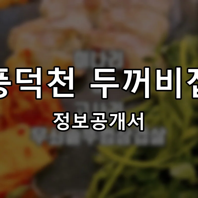 풍덕천 두꺼비집 프랜차이즈 정보공개서