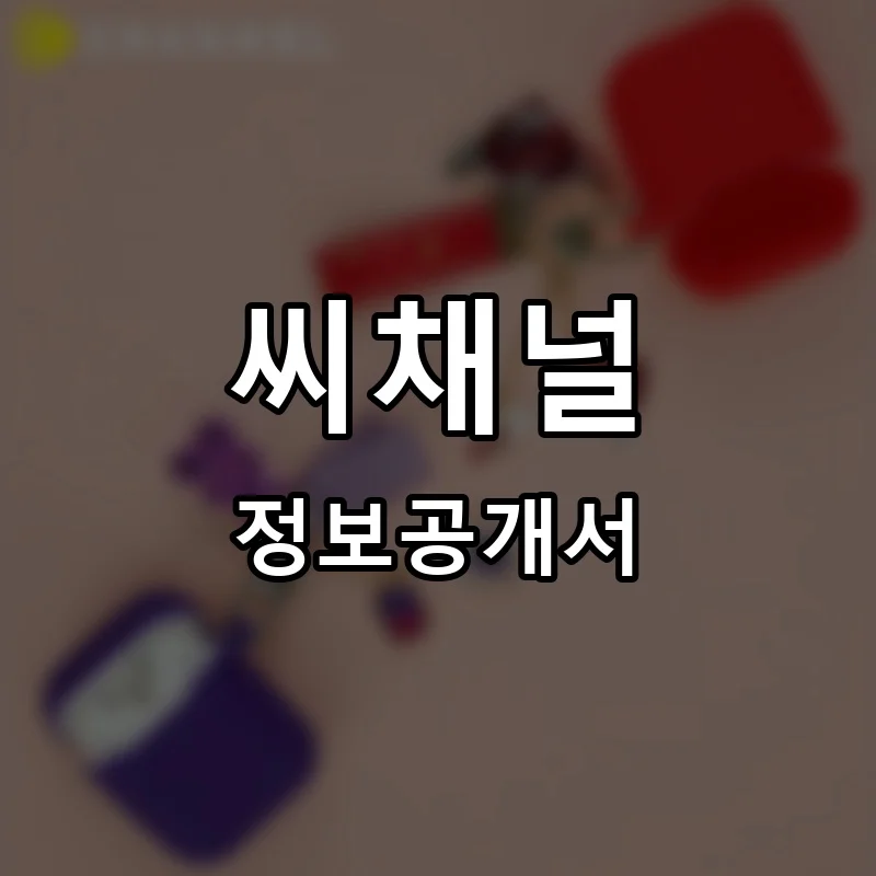 씨채널(See Channel) 프랜차이즈 창업 비용 정보공개서 요약