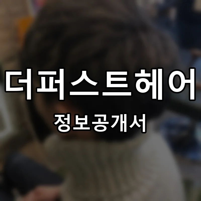더퍼스트헤어 프랜차이즈 정보공개서 요약 2025.05.07