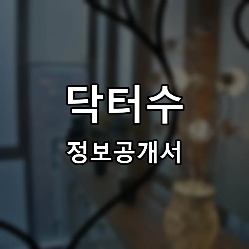 닥터수 프랜차이즈 창업 비용 정보공개서 요약