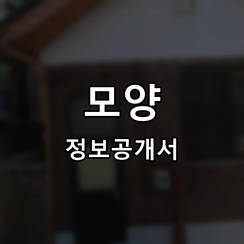 꼬모양품점 프랜차이즈 정보공개서