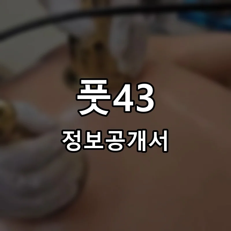 풋43 프랜차이즈 정보공개서