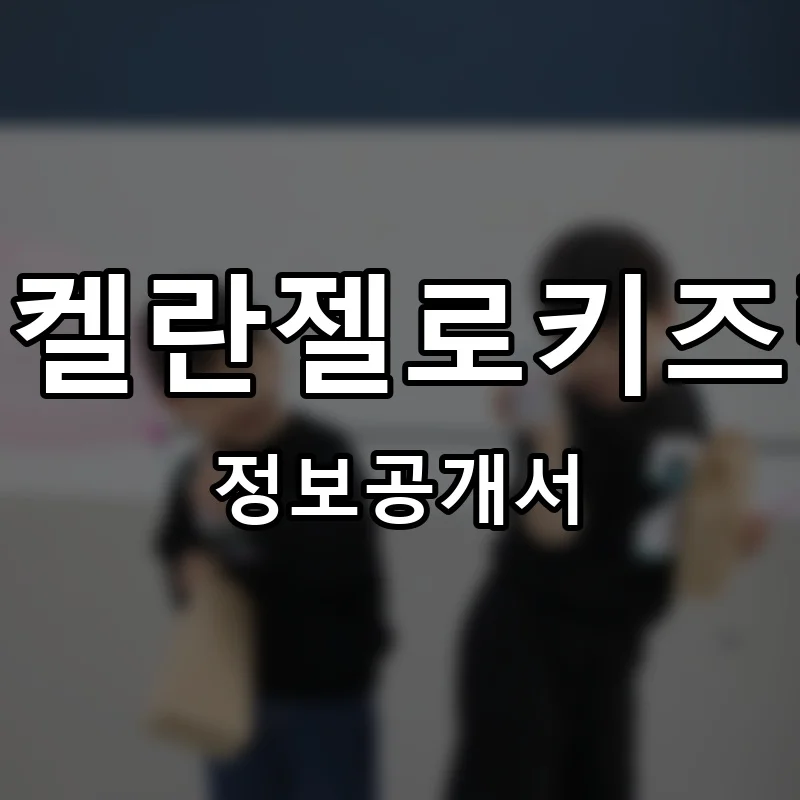 미켈란젤로키즈랩 프랜차이즈 창업 비용 정보공개서 요약