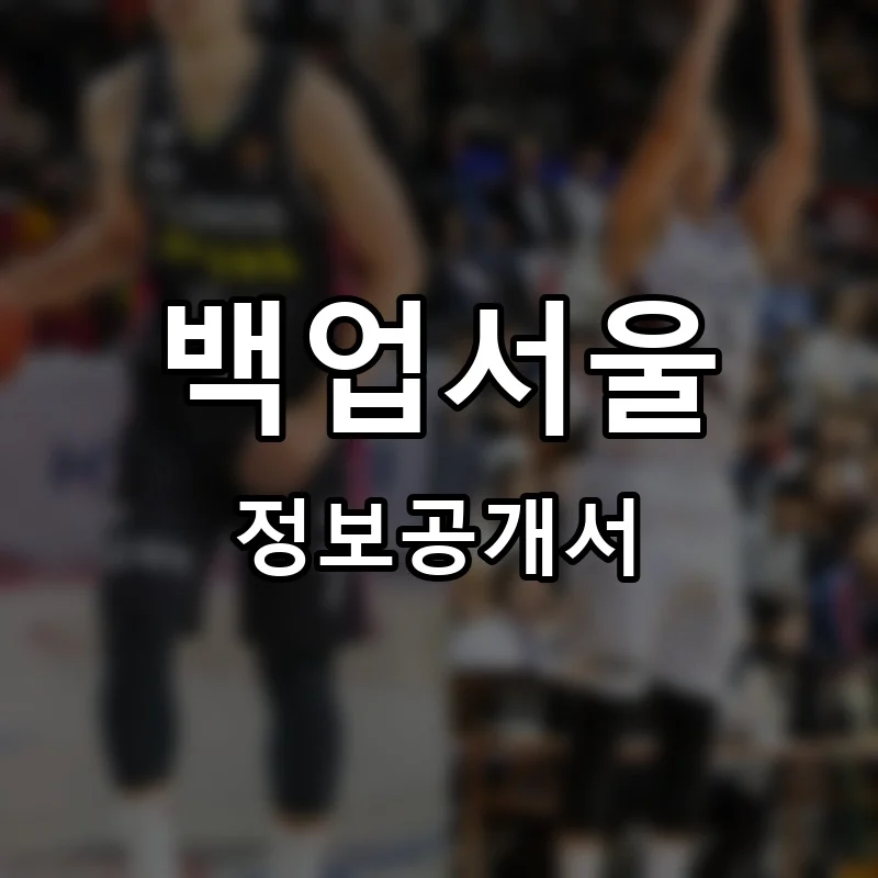 백업서울 프랜차이즈 창업 비용 정보공개서 요약
