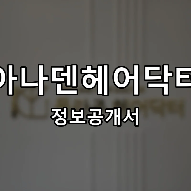 아나덴헤어닥터 프랜차이즈 창업 비용 정보공개서 요약