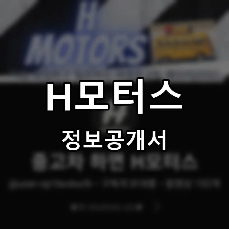 H모터스 프랜차이즈 정보공개서