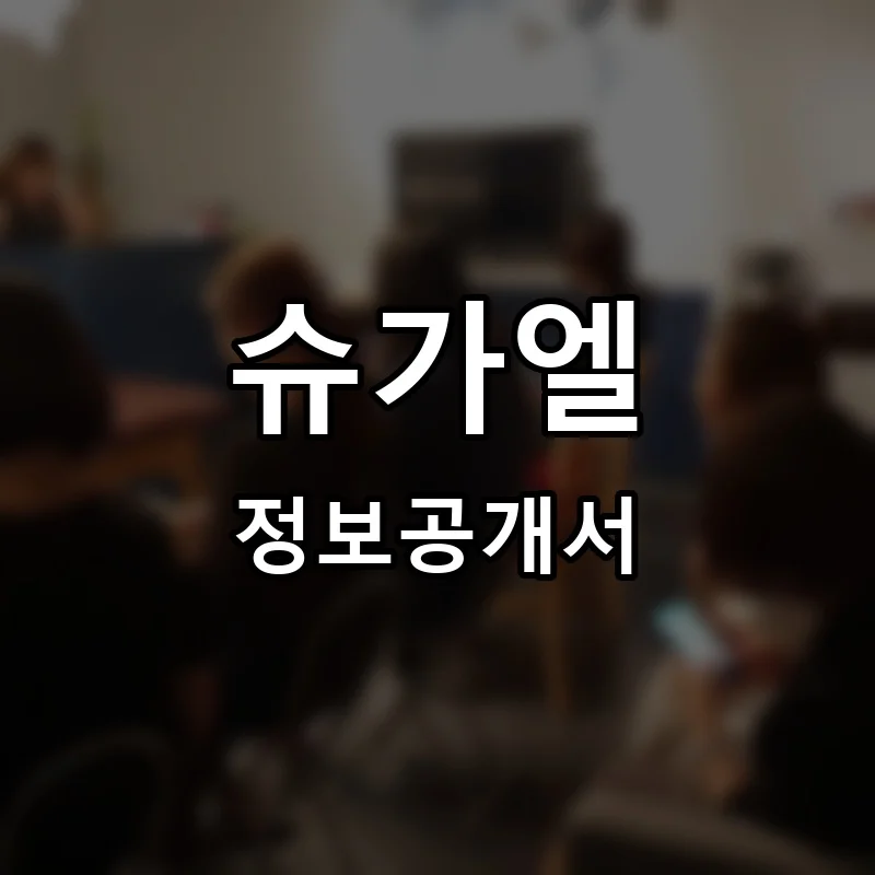 슈가엘 프랜차이즈 창업 비용 정보공개서 요약