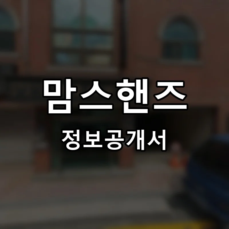 맘스핸즈 프랜차이즈 창업 비용 정보공개서 요약
