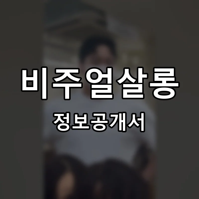 비주얼살롱 프랜차이즈 창업 비용 정보공개서 요약