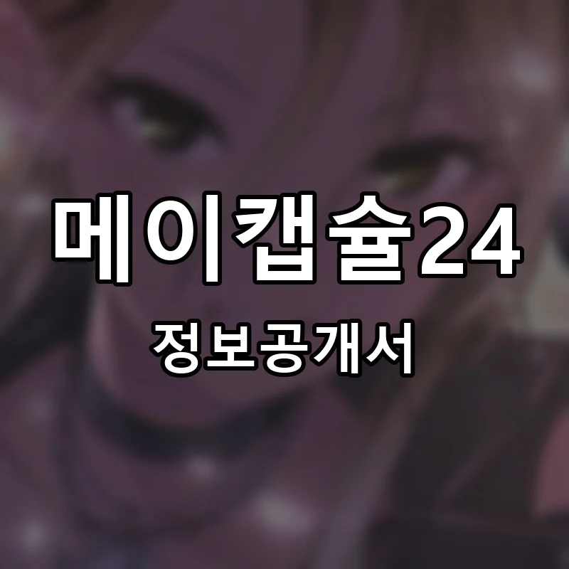 메이캡슐24 프랜차이즈 정보공개서 요약 2025.07.02