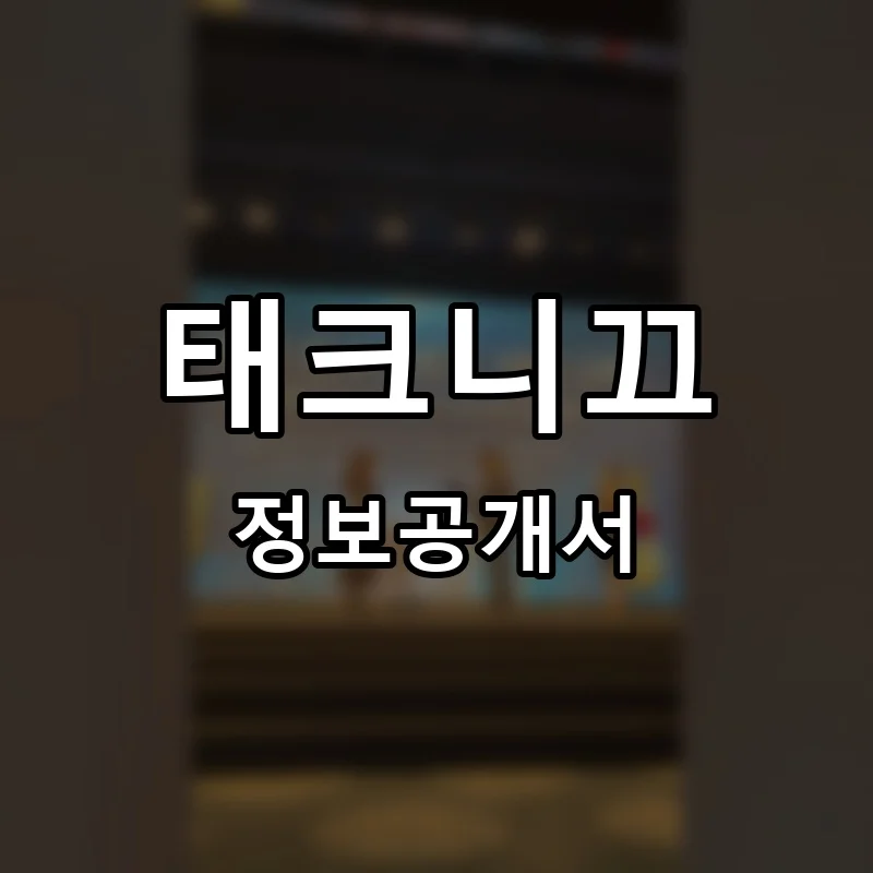 태크니끄 프랜차이즈 정보공개서