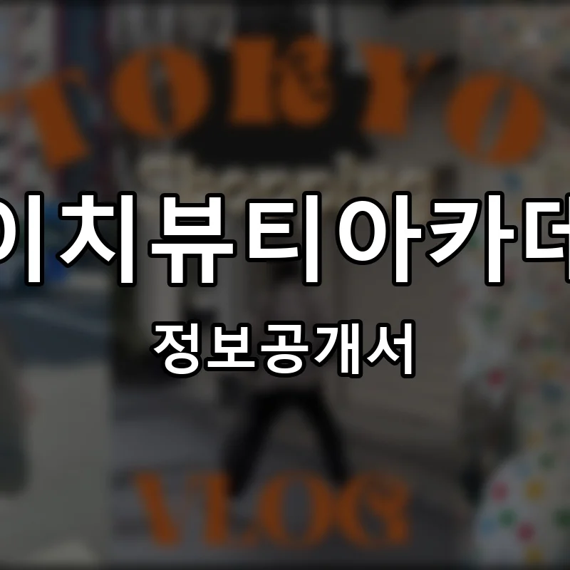 에이치뷰티아카데미 프랜차이즈 창업 비용 정보공개서 요약