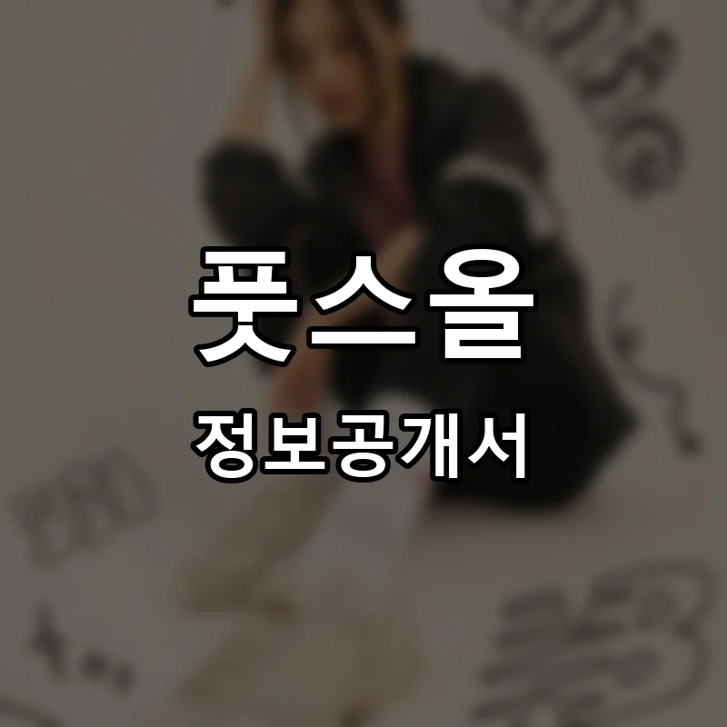 풋스올(Foot’s All) 프랜차이즈 정보공개서 요약