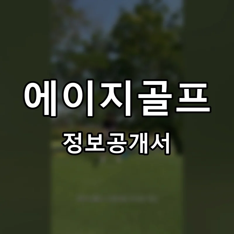 에이지골프 프랜차이즈 창업 비용 정보공개서 요약