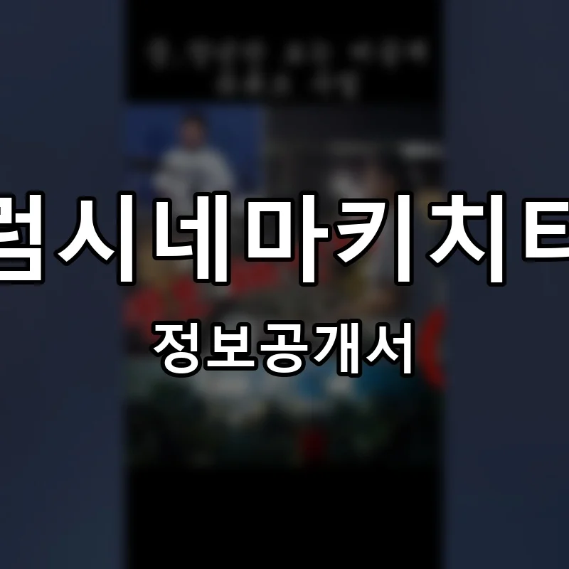드럼시네마키치타치 프랜차이즈 정보공개서 요약 2025.07.10