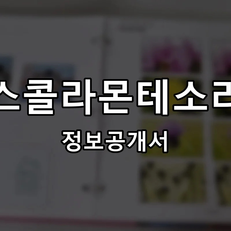 스콜라몬테소리 프랜차이즈 정보공개서