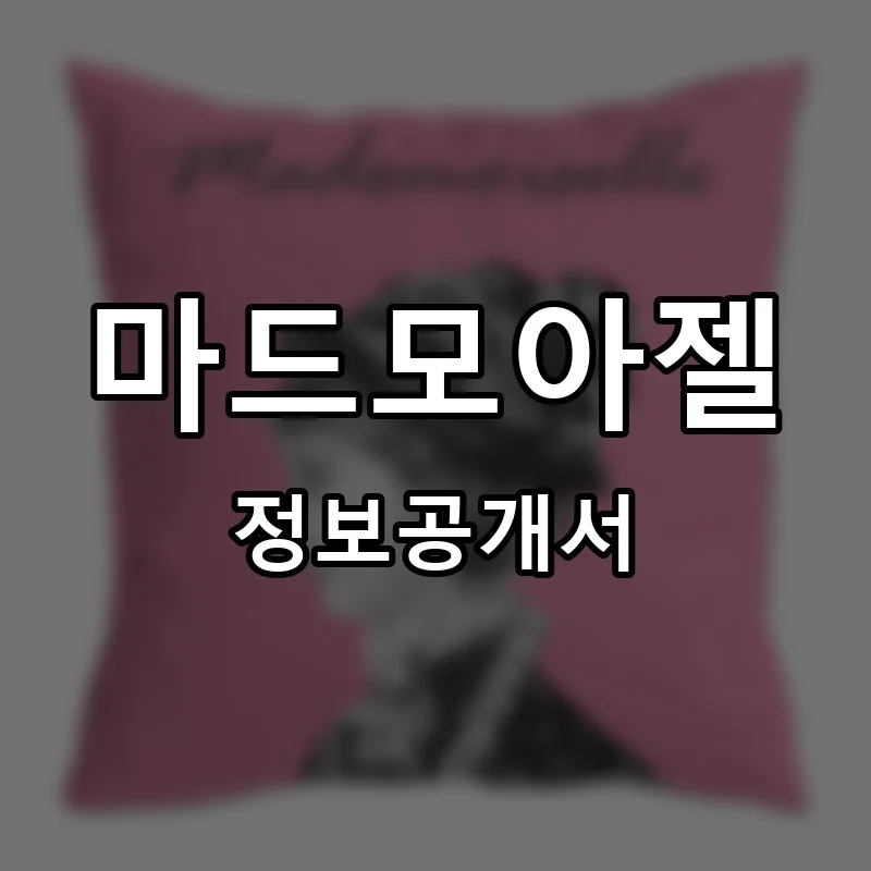 마드모아젤 프랜차이즈 정보공개서